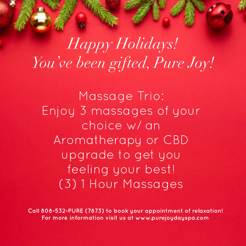 Holiday Massage Specials 2021 Pure Joy Day Spa